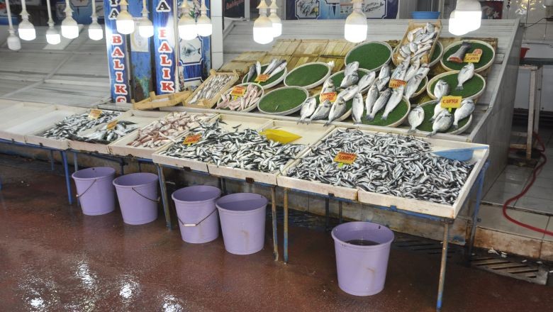Balıkesir’de Çipura Vakti Fiyatı 270 Lira