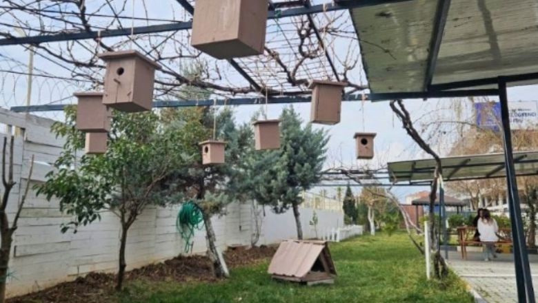 Balıkesir'in Sokak Hayvanlarına Ahşap Kulübe