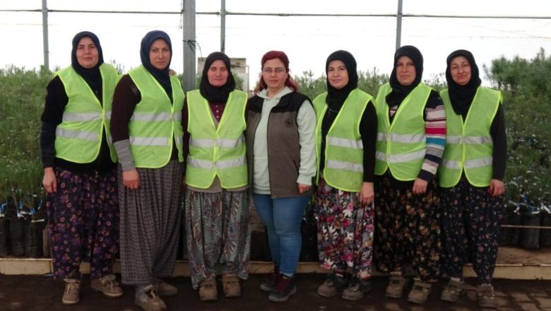 Balıkesir'in Ağaçları Türkiye Ormanlarını Şekillendiriyor