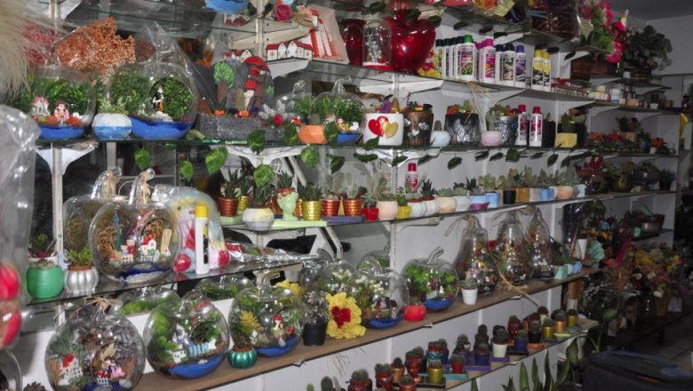 Balıkesir’de 14 Şubat’ın Sevgilileri Nergis ve Gül El Ele