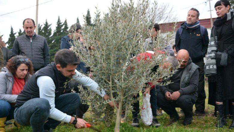 Burhaniye'de Zeytin Yetiştiriciliği Kursuna Yoğun İlgi