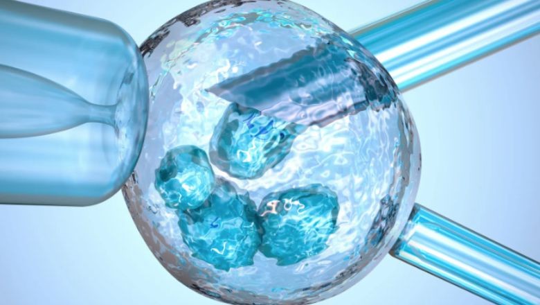 Genetik Testlerle Kromozom Bozuklukları Teşhis Edilebiliyor