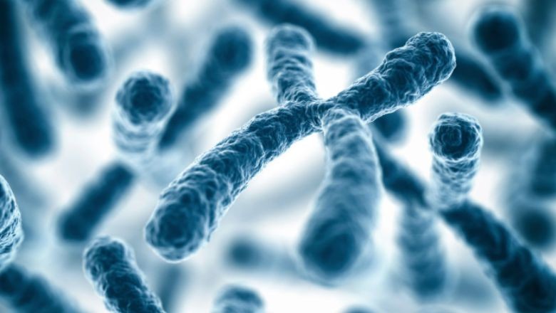 Genetik Testlerle Kromozom Bozuklukları Teşhis Edilebiliyor