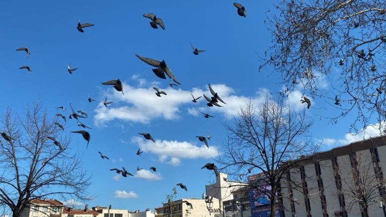 Balıkesirliler Güneşli Günün Tadını Çıkarıyor