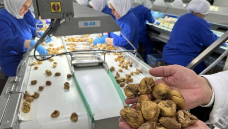 Türkiye Organik Ürün İhracatında Rekor