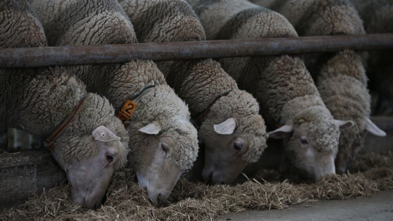 Balıkesir'den Çıkan Lezzet: Et Ürünleri