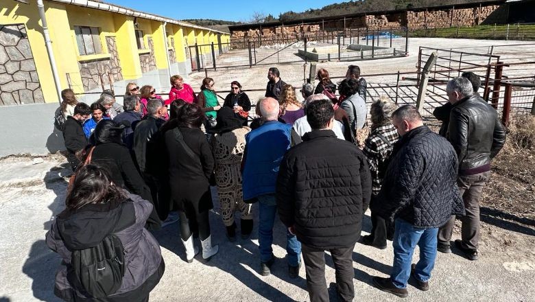 Balıkesir'den Koyunculuk Sektöründe İşbirliği 