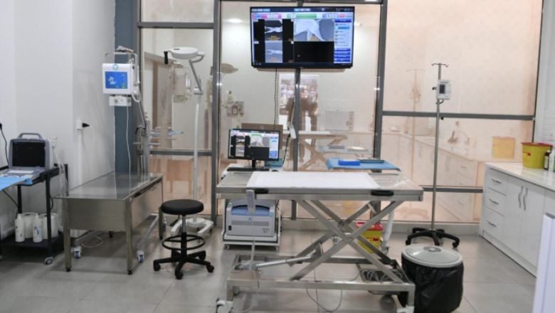 Pati Projesiyle Sokak Hayvanları İçin Yeni Adım