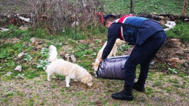 Kırsal Mahallelerdeki Sokak Hayvanları Unutulmuyor