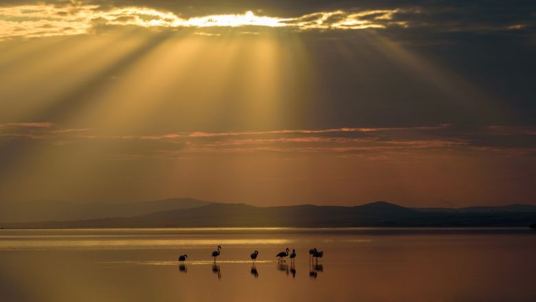 Balıkesir'in Görkemli Mirası Fotoğraf Sanatında