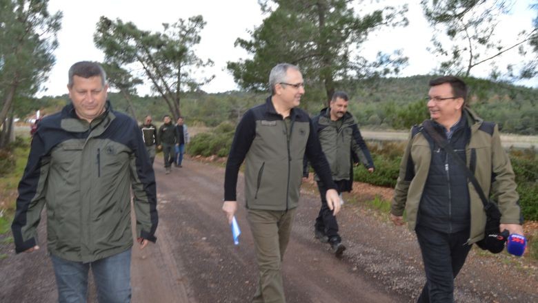 Siyaha Bürünen Ormanlık Arazi Tekrar Yeşillendirildi