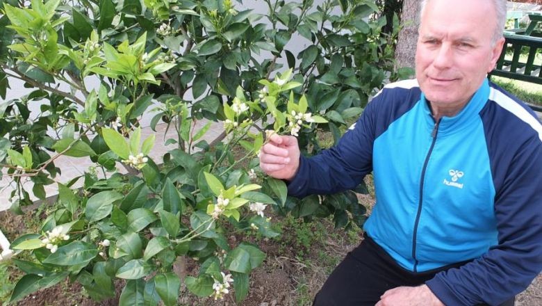 İlkbaharın Habercisi Burhaniye'de Görüldü