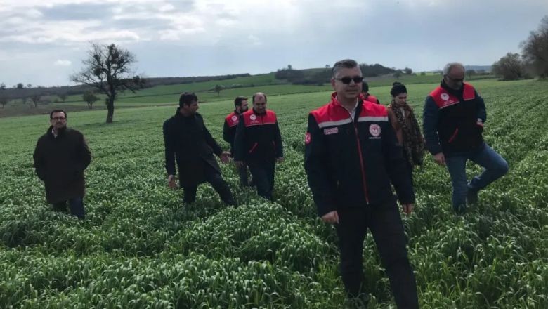 Yerli ve Milli Tohumlarla Hububat Üretimi Balıkesir'de