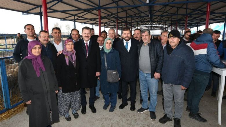 Balıkesir'de 550 Damızlık Sahiplerini Buldu