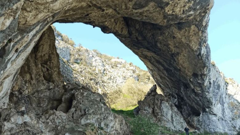 Dünyada 5 Türkiye'de 2 Adet Bulunuyor: En Büyüğü Balıkesir'de