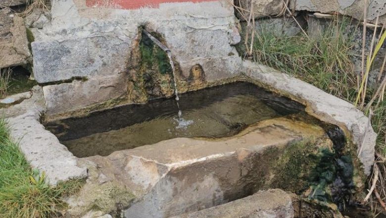 Balıkesir'de Saklı Cennet: Ördeklerin Gölet Günlüğü