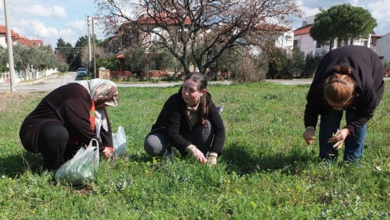 Balıkesir'de Ot Festivali Talepleri Artıyor