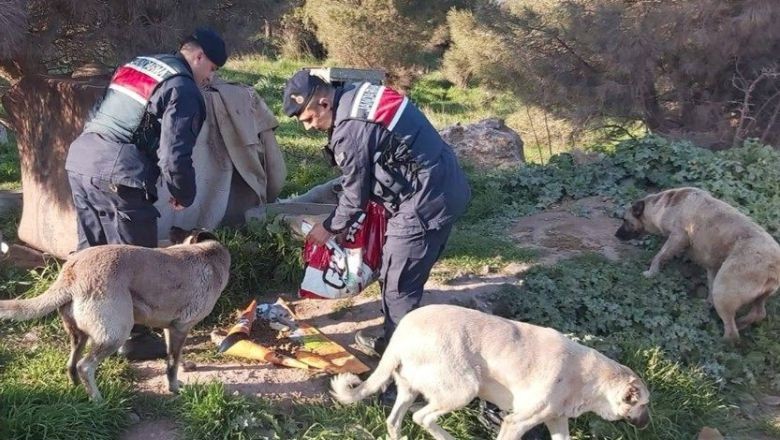 Balıkesir'in Binlerce Can Dostu Karnını Doyurdu!