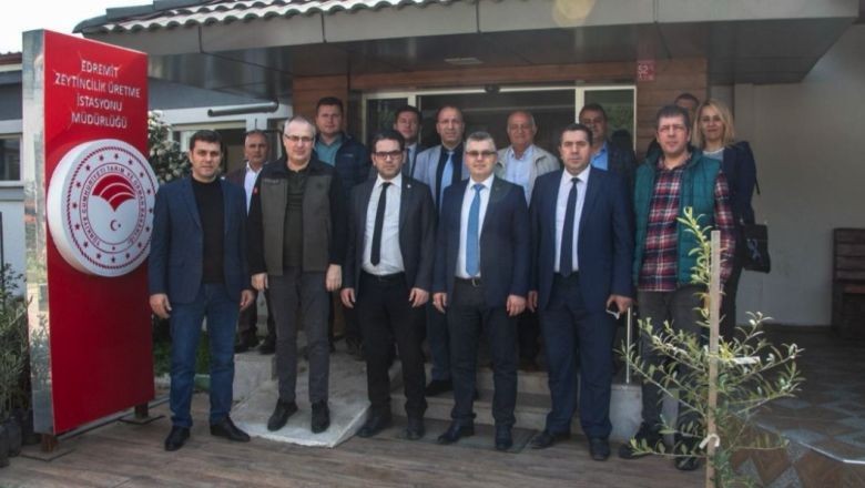 Balıkesir'in Odak Noktası Zeytin Üretimi