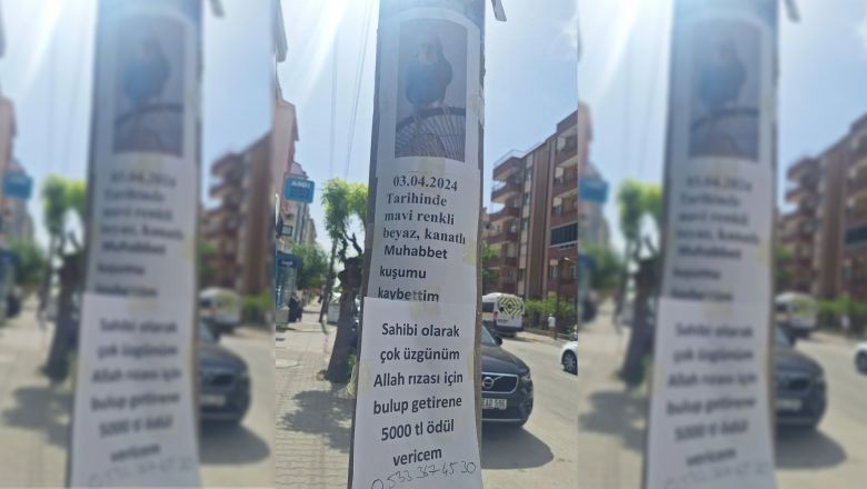 Balıkesir’de Kayboldu Bulana Ödül Var