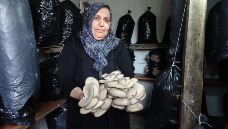 Balıkesir'de Öğrenip Yozgat'ta Yetiştirmeye Başladı