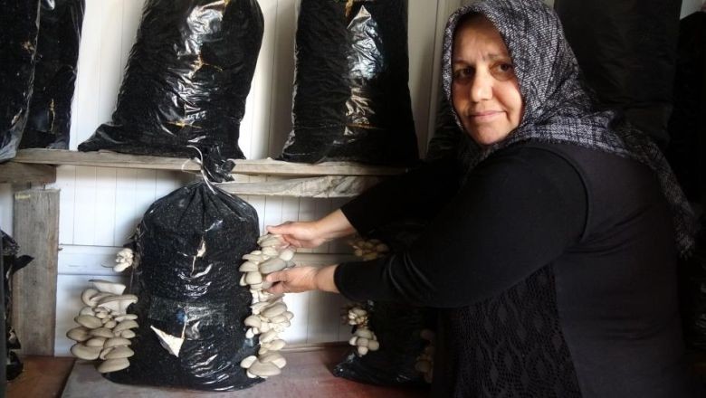 Balıkesir'de Öğrenip Yozgat'ta Yetiştirmeye Başladı