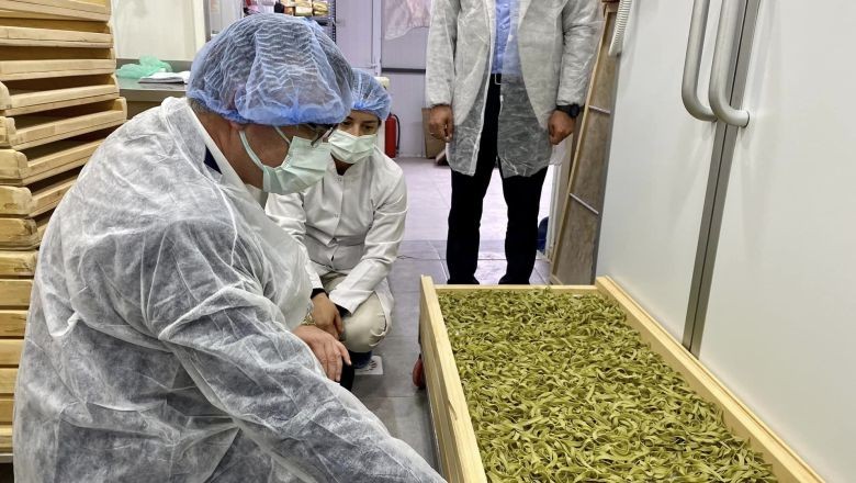 Balıkesir'de Üretilen Organik Makarna ve Çikolata Dünya Pazarında