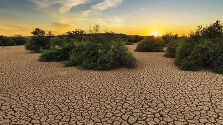 Google Dünya Günü'nü Farklı Bir Tasarımla Kutladı