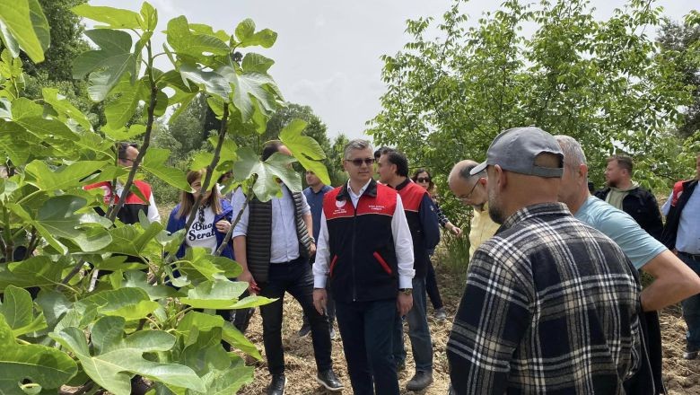 Siyah İncirin Verimini Artırmak İçin Buluştular