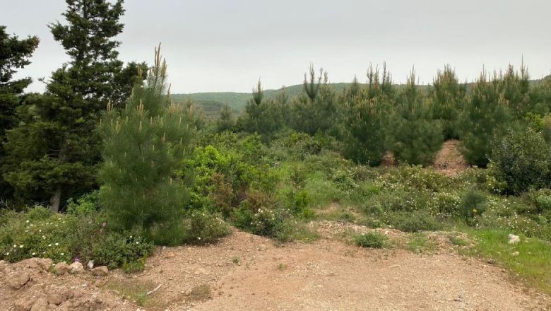 Son Dakika! Korhan Berzeg İçin Yeni İzler Aranıyor