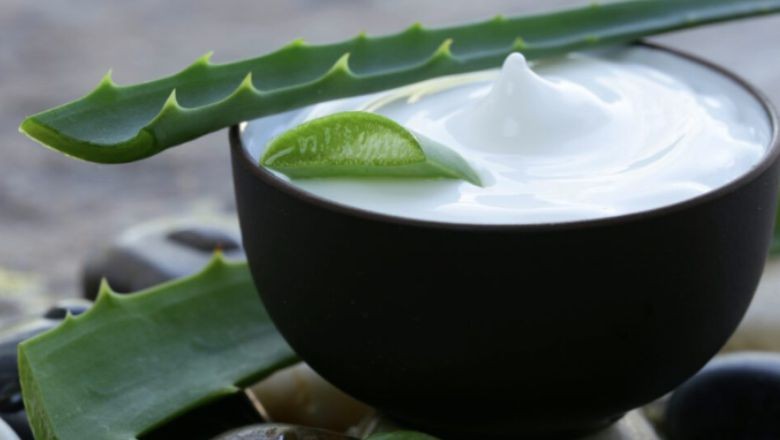 Gece Bakımında Aloe Vera Kullanımı