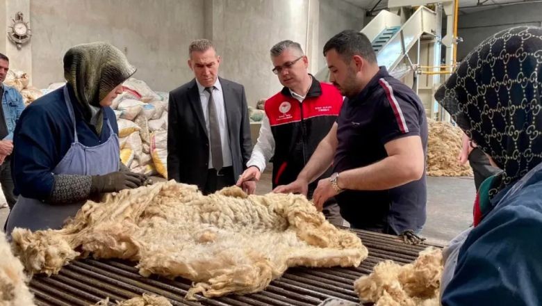 Balıkesir Kuzusunun Yünü Bile Değerli!