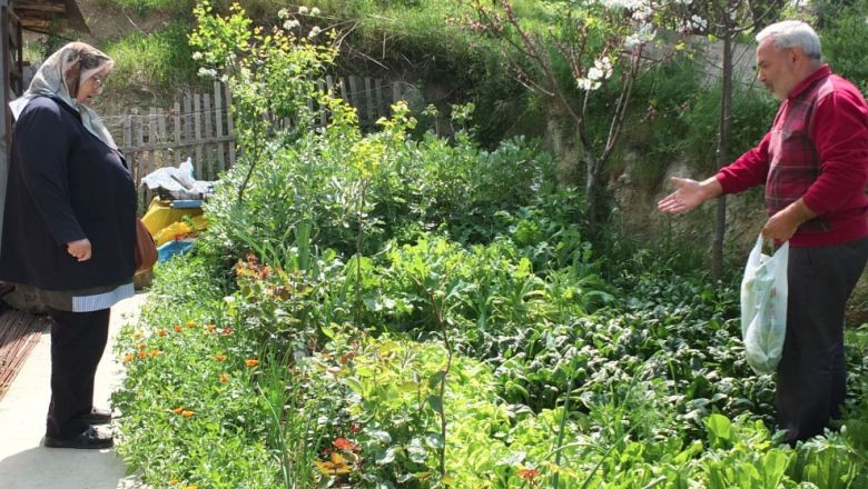 Balıkesir İklimine Göre Bahçe Bakımı