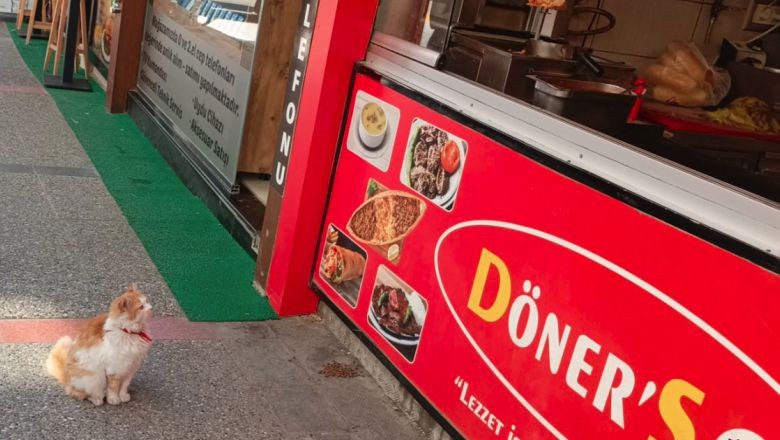 Balıkesir’de Bakışlarıyla Döner Ismarlatan Prenses!