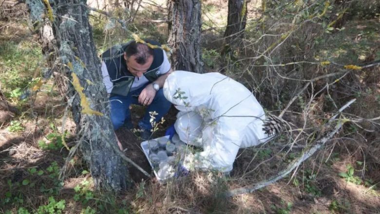 Balıkesir Ormanlarında Doğal Denge Korunuyor