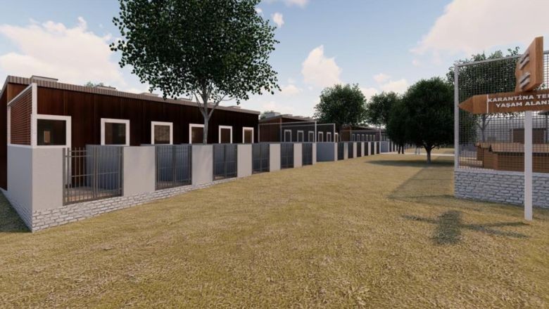 Ayvalık'ta Can Dostlar İçin Yeni Proje