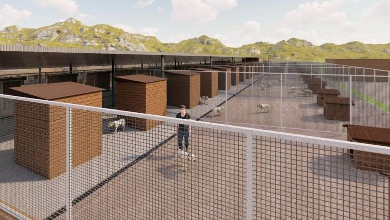 Ayvalık'ta Can Dostlar İçin Yeni Proje