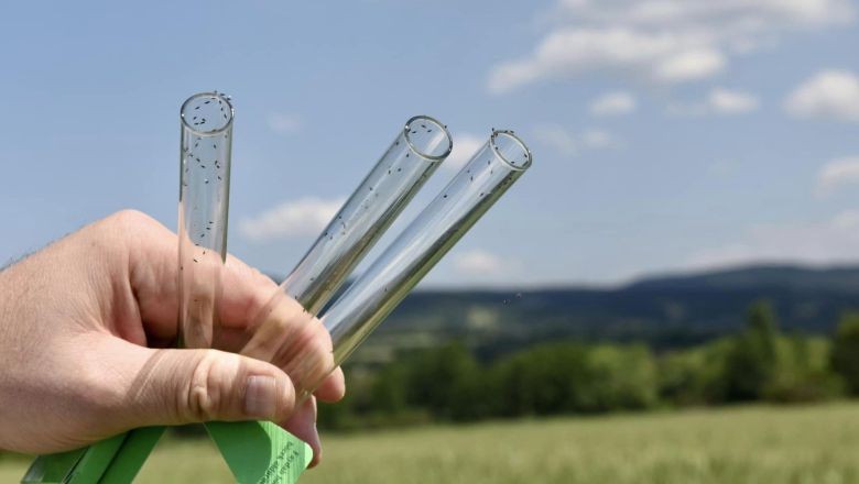 Balıkesir'de Biyolojik Savaş Başladı
