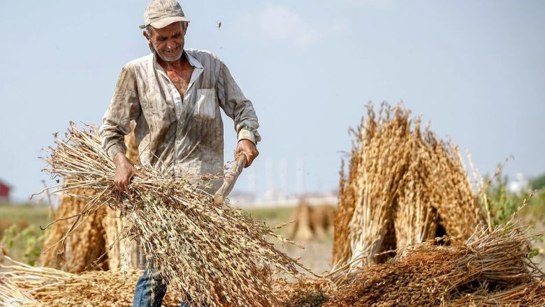 Balıkesir'de Çiftçi Olmak