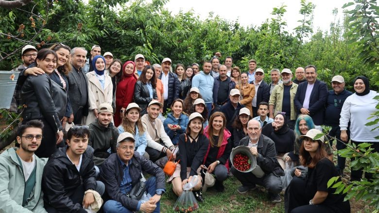 Kiraz Hasadında Hedef: 300 Milyon Dolar