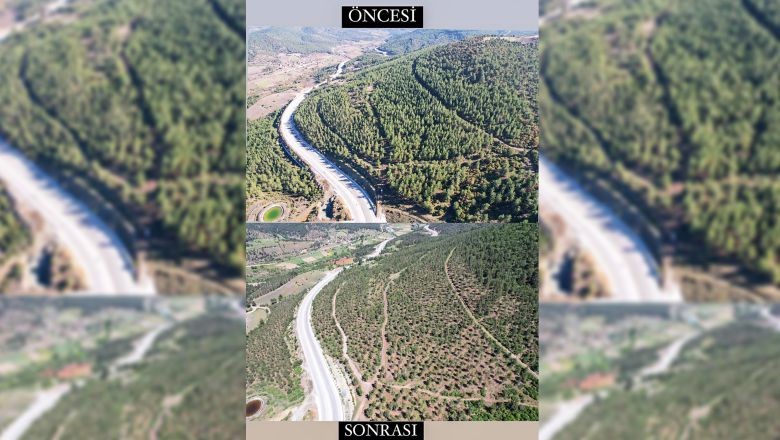 Yetkililer Kızılçam Ormanı İçin Harekete Geçti