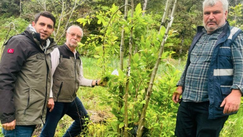 Balıkesir'in Laboratuvarlarında Üretilen Savaşçılar Doğaya Salındı