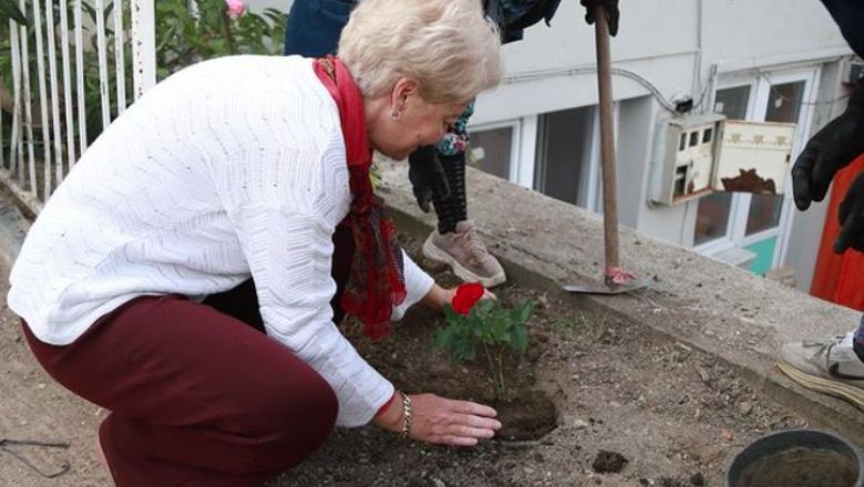 Burhaniye'nin Kırsalında Çiçekler Açıyor