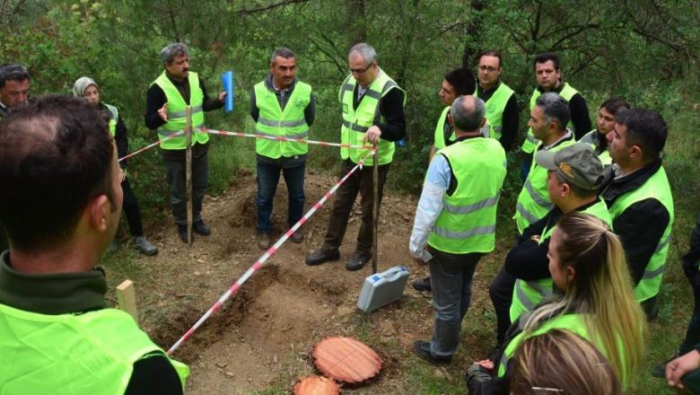Balıkesir'in Odağı Hızlı Gelişen Orman Ağaçlarında