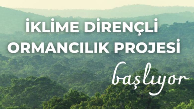 İklim Değişikliğine Karşı Ormancılıkta Dev Adım