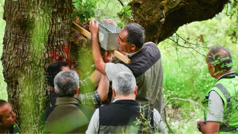 Balıkesir Meşe Ormanlarının Korunması İçin Adımlar Atılıyor