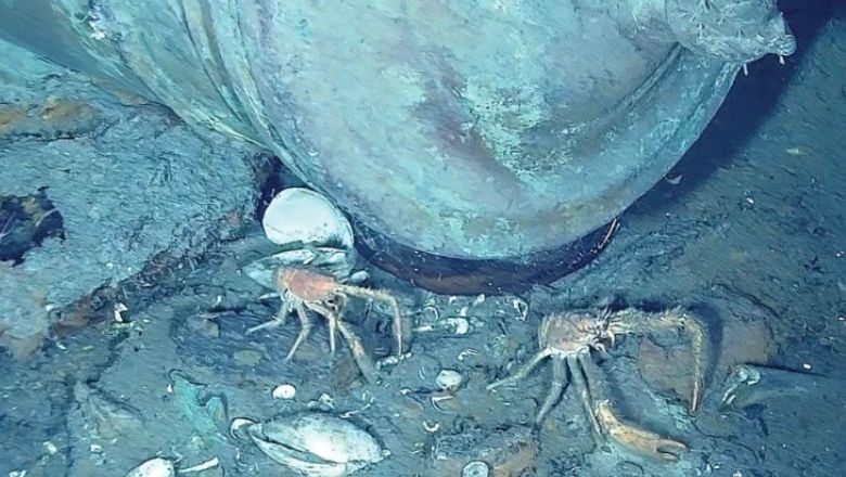 300 Yıllık Sır Açığa Çıktı! 18 Milyar Dolarlık Hazine