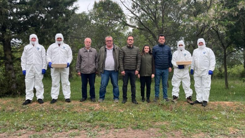 Terminatör Böcekler Balıkesir'e Salındı!