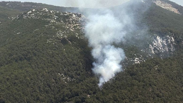 5 İlde Orman Yangını Başladı