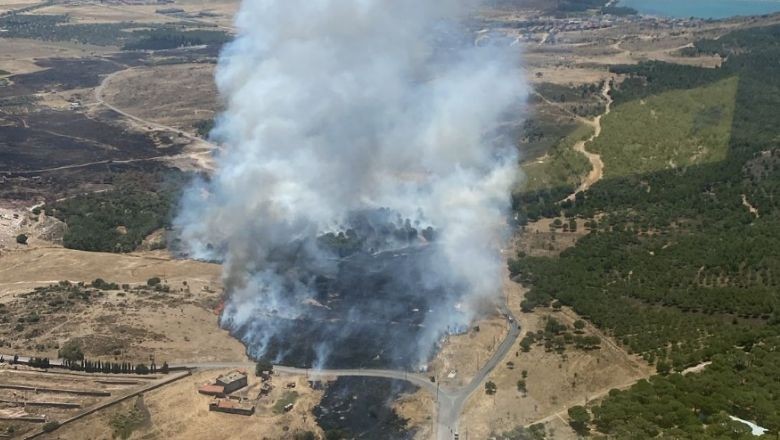 Ayvalık’ta Yangın : Sarımsaklı Plajı Tehlikede!